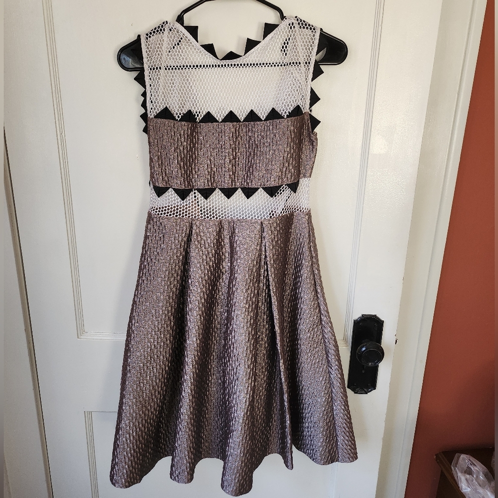 Self-Portrait Lucille Mesh Dress In Metallic Pink